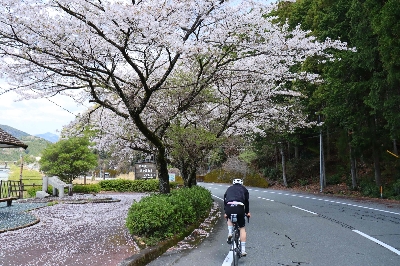 Photo from 2025/4/5
