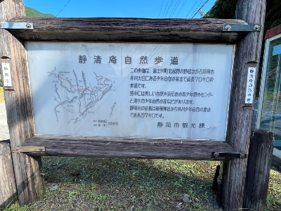 Photo from 2023/9/3