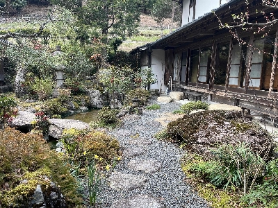 Photo from 2025/4/5
