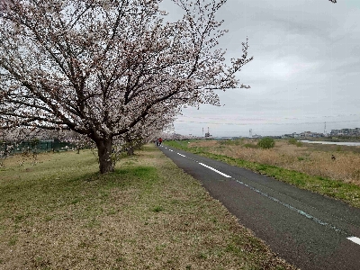 Photo from 2024/4/6