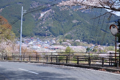 Photo from 2025/4/5