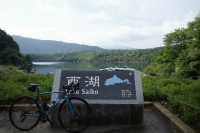 Photo from 2025/8/8