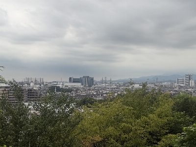 Photo from 2026/9/1