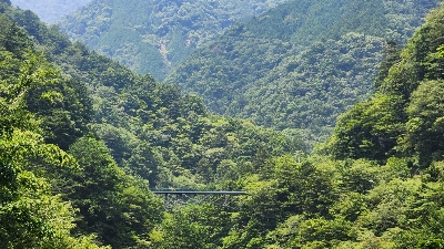 Photo from 2025/7/5