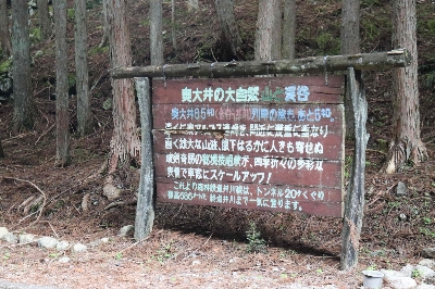 Photo from 2025/7/5