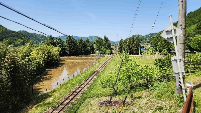 Thumbnail for 41935