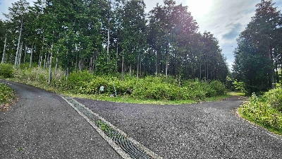 Thumbnail for 42260