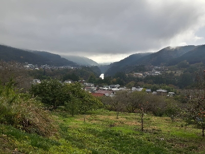 Thumbnail for 3623