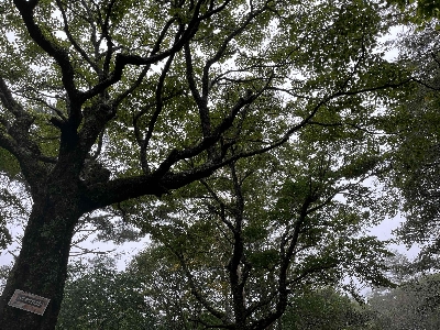 Photo from 2024/10/5