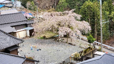 Photo from 2025/4/5