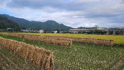 Thumbnail for 48976