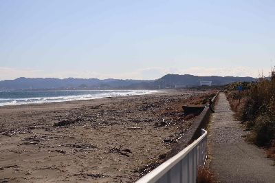 Thumbnail for 38979