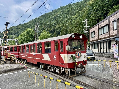 Photo from 2025/7/5
