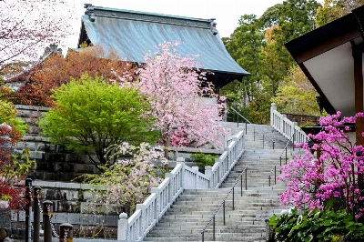 Thumbnail for 21086