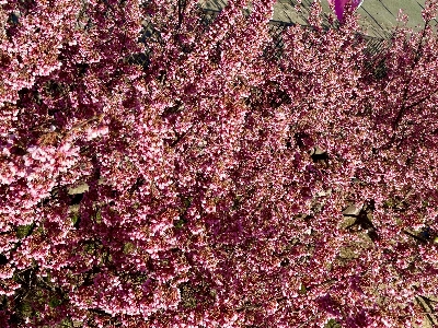 Photo from 2025/2/8