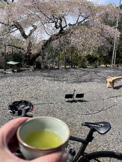Photo from 2025/4/5