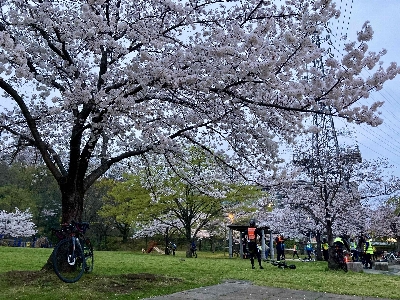 Photo from 2024/4/5