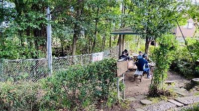 Thumbnail for 55486