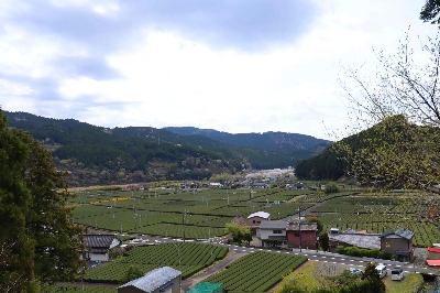Photo from 2025/4/5