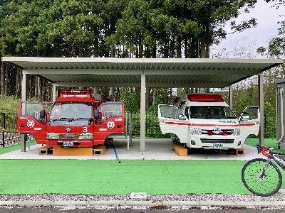 Thumbnail for 33606