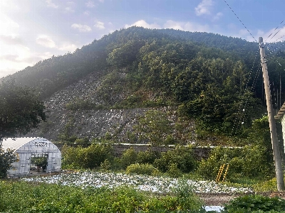 Photo from 2024/8/3