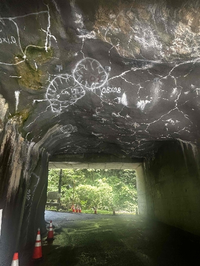 Thumbnail for 30455