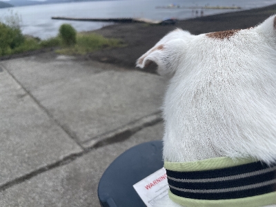 Photo from 2025/9/14