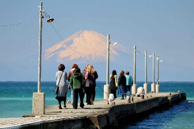 Thumbnail for 39039