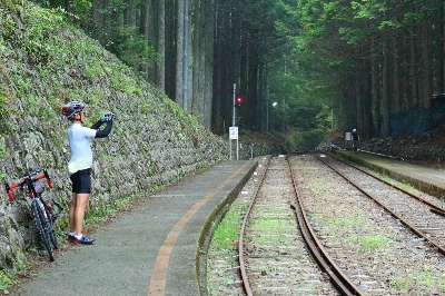 Photo from 2025/7/5