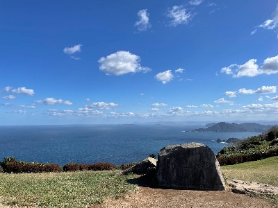 Thumbnail for 8328