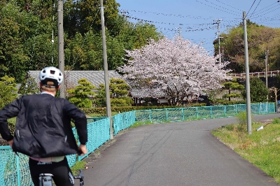 Photo from 2025/4/5