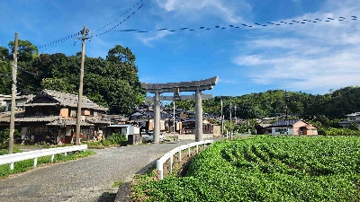 Thumbnail for 48798