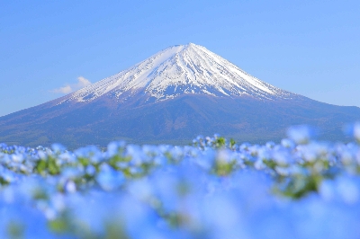 Photo from 2025/5/4