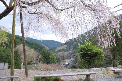 Photo from 2025/4/5