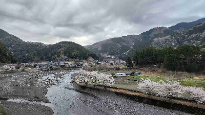 Photo from 2025/4/5