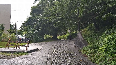 Thumbnail for 57009