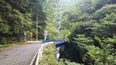 Photo from 2024/9/4