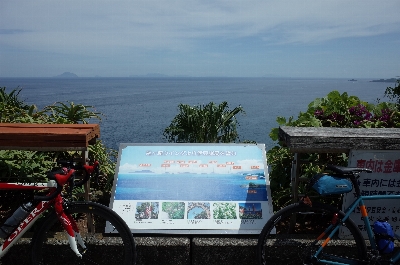 Photo from 2024/6/8