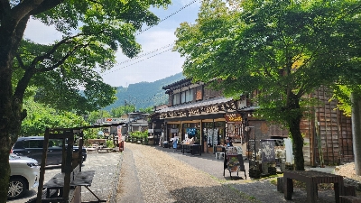 Photo from 2025/7/5