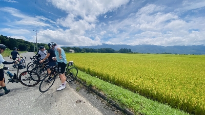Thumbnail for 55700
