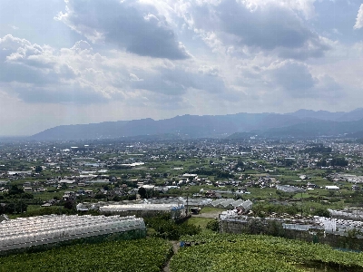 Photo from 2024/8/3