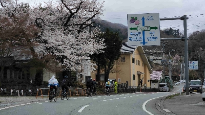 Photo from 2025/4/6