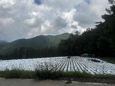 Photo from 2024/8/4