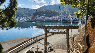 Thumbnail for 50999