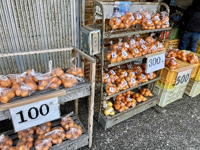 Photo from 2025/3/1