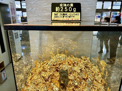Photo from 2025/2/8