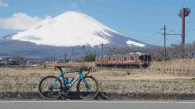 Thumbnail for 53337