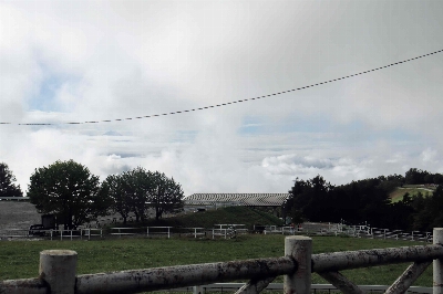 Photo from 2024/10/5