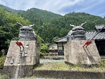 Photo from 2025/7/6