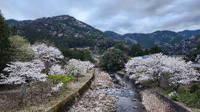 Photo from 2025/4/5